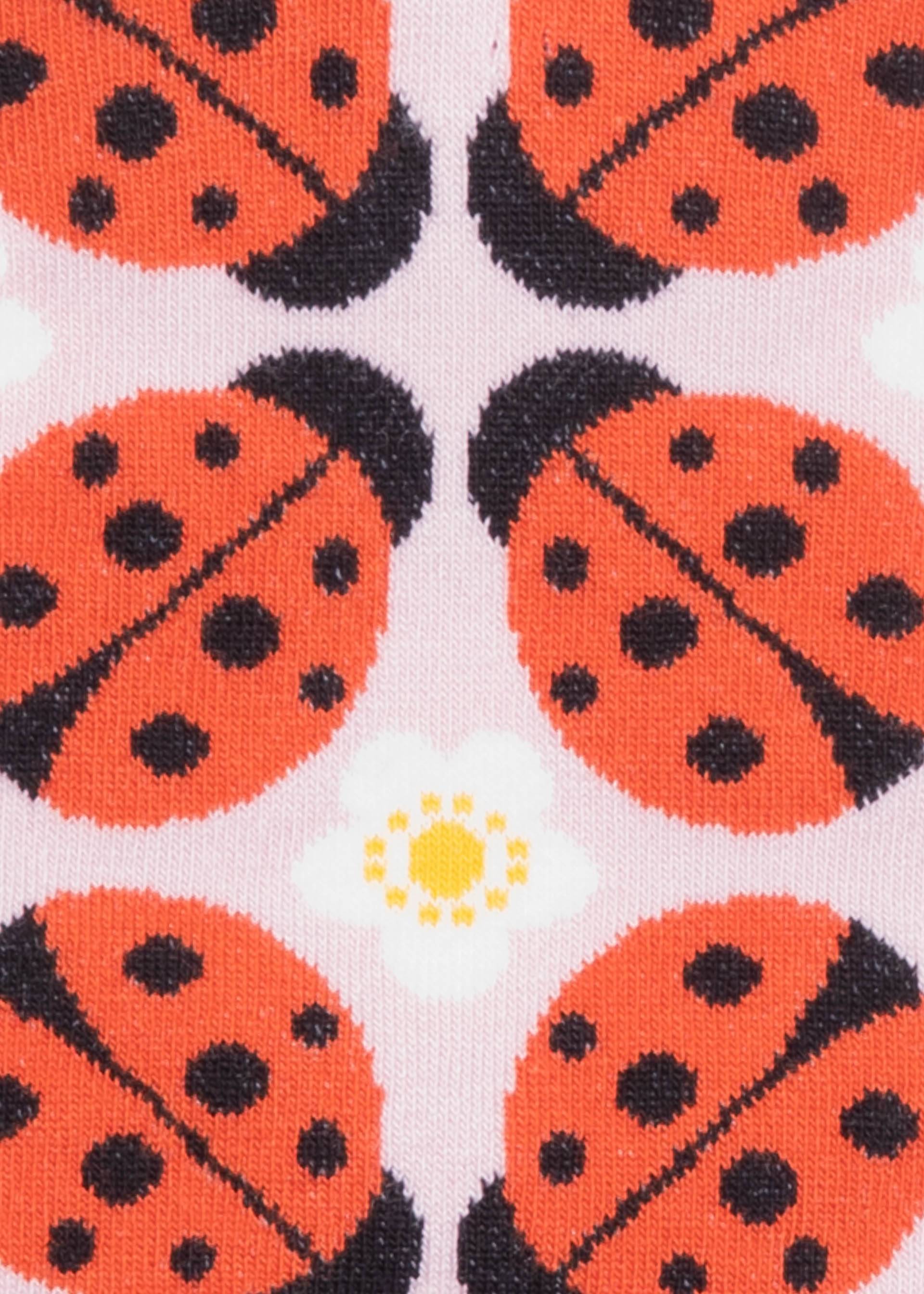 Cotton socks Sensational Steps, ladybug dream socks, Socks, Red